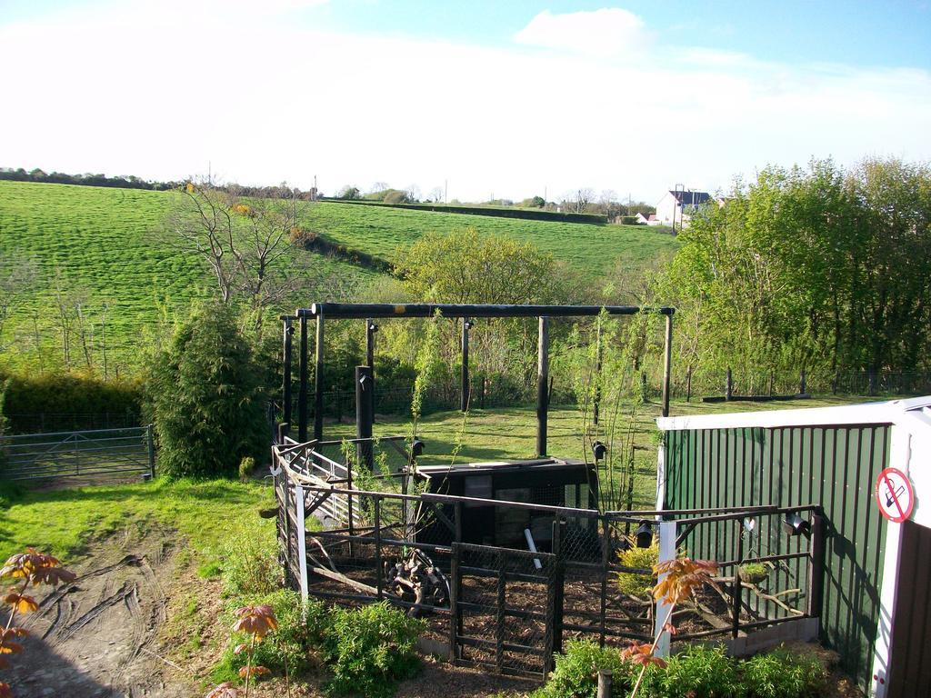 Bed & Breakfast Bryncoch 3*