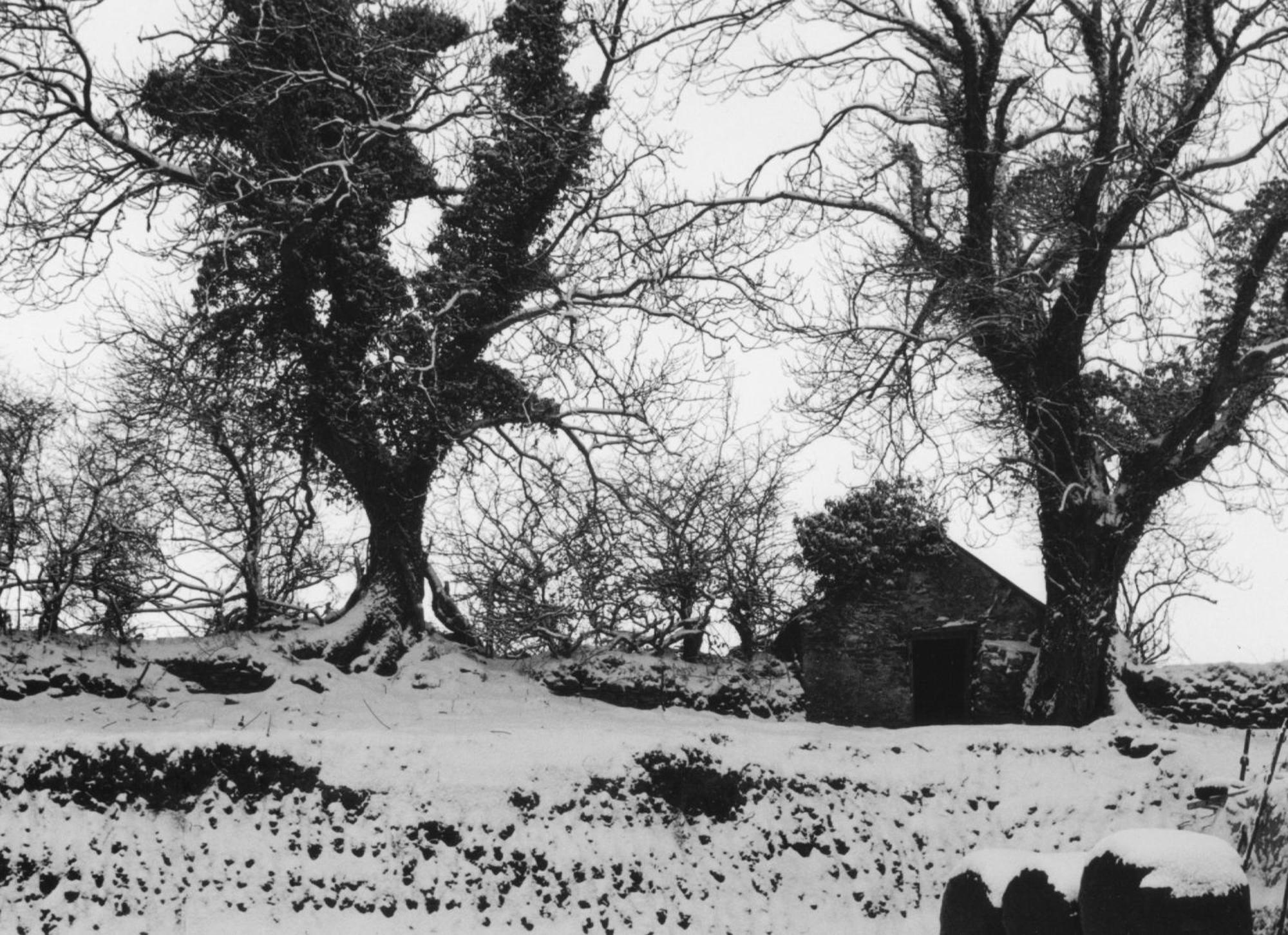Bed & Breakfast Bryncoch Llannon